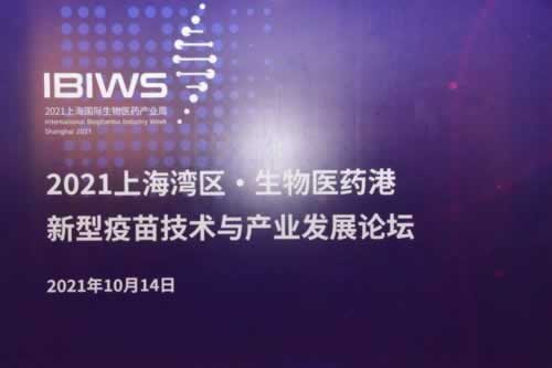 “账号一直在审核中怎么回事啊？揭秘审核过程中的那些小秘密”
