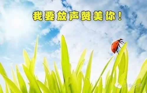 已出款却钱未到账？揭秘银行转账那些不为人知的“潜规则”