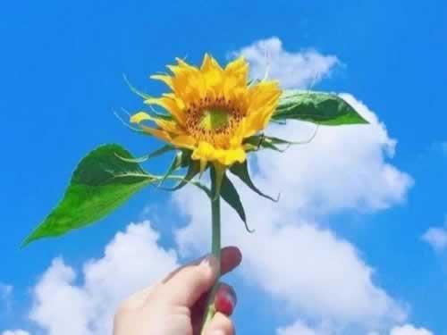 在黑网赢钱被黑客服说还有打10倍流水才给出款，揭秘其中的陷阱与应对策略