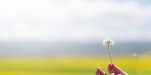 系统审核提不了款怎么办?揭秘常见问题及应对策略,别让资金陷入困境! 系统审核提不了款怎么办?揭秘常见问题及应对策略,别让资金陷入困境!