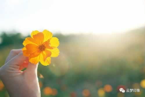 【紧急！】网站提款不到账？揭秘解决方法，助你轻松找回资金！