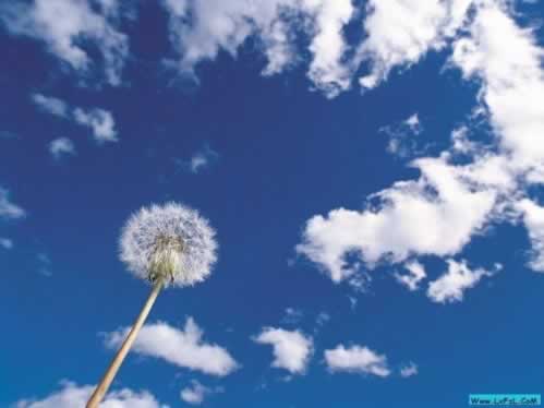 网络被黑赢的钱不给提出来？揭秘背后的真相与应对策略