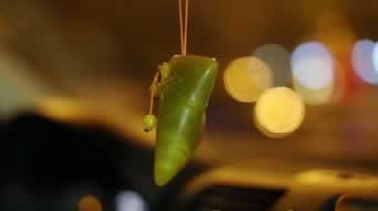 资金被黑无法提款到账？揭秘5大解决方法，让你的资金安全无忧！