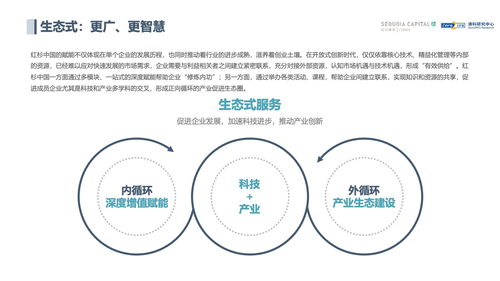 网站被黑无法提款?揭秘解决之道,让你的资金安全无忧! 网站被黑无法提款?揭秘解决之道,让你的资金安全无忧!