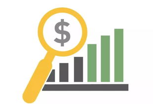 【揭秘】网站注单抽查出款难题，揭秘高效出款之道！